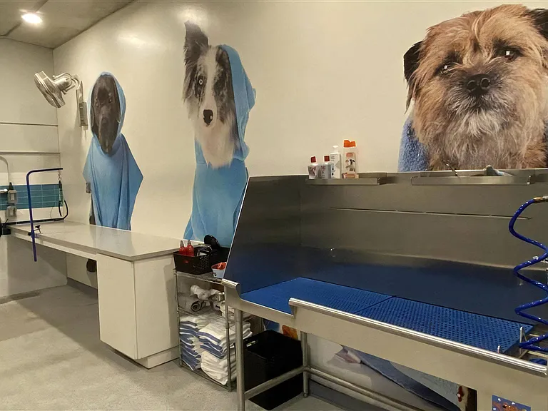 Fully Equipped Pet Grooming Station with Bath Area and Storage
