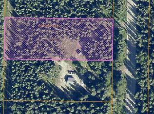 9535 Coolidge St, Salcha, AK 99714