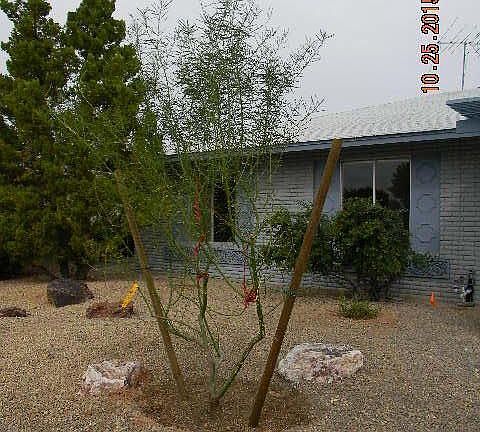 4th image of 15625 N 110th Ave