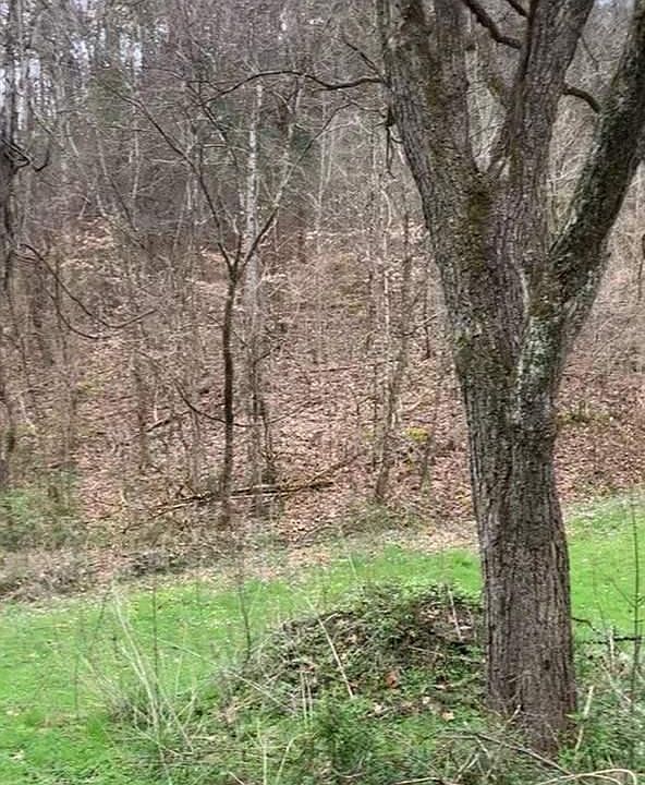 2nd image of 0 Moon Hollow Rd Lot 8
