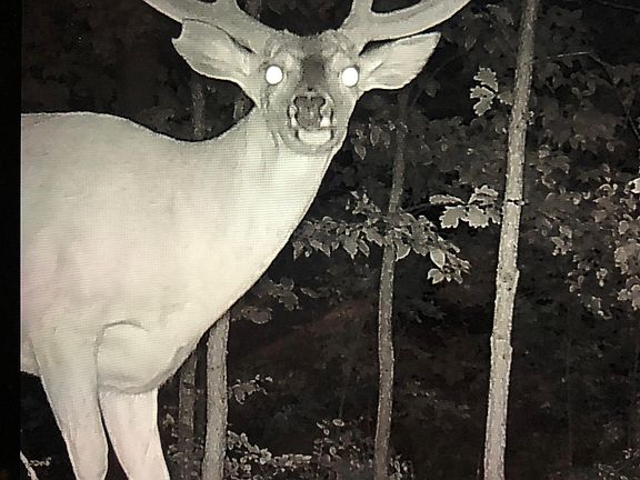 2nd image of 87/ACRE County Rd