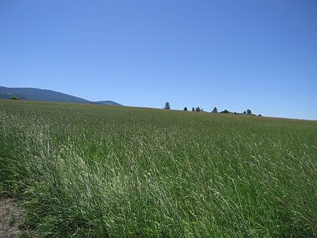 1st image of Tbd Mt Idaho Grade Road Parcel #2