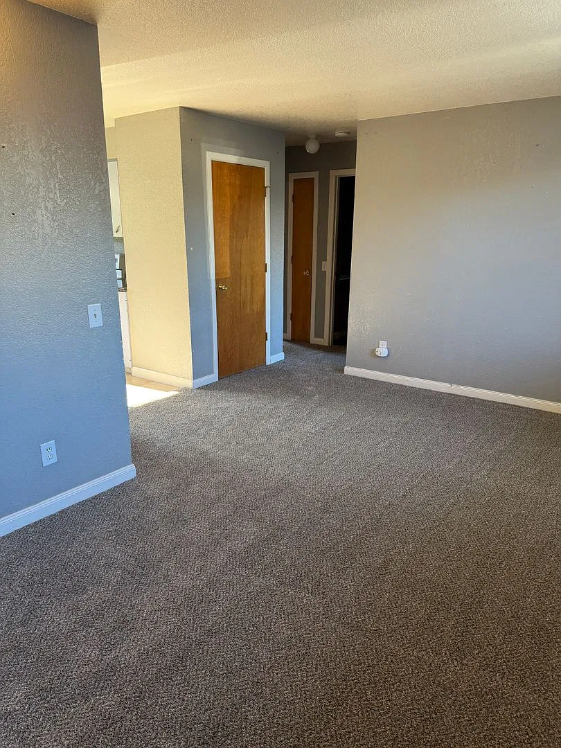 Flexible lease terms, Heat Included, New Carpet - 2 Bedroom/1 Bath Pets on approval — Photo 4