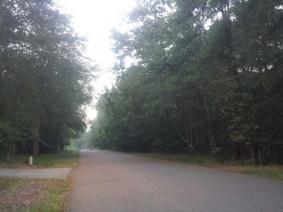 2nd image of 104 Shadowlake Dr