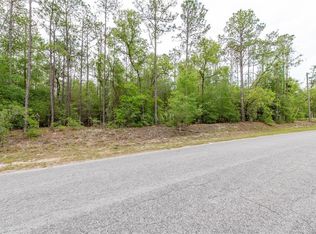 SW 206th Court Rd LOT 15, Dunnellon, FL 34431