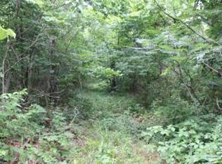 Smith Mtn, Parthenon, AR 72666