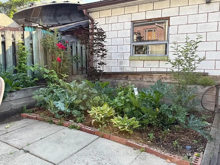 37 Gillespie Ave #MAIN FLOOR — Photo 5