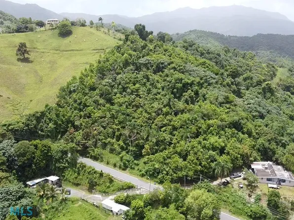 5.4 Highway 950, Naguabo, PR 00718
