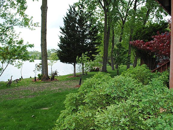 4th image of 2559 Brunswick Cir #1
