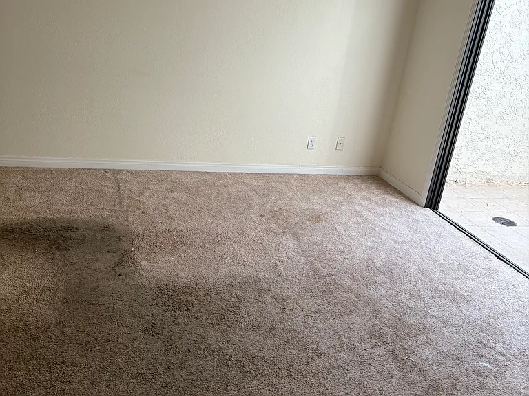 2438 El Paseo Cir #1 — Photo 14