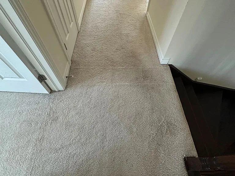 2 Bruce Cameron Dr — Photo 23