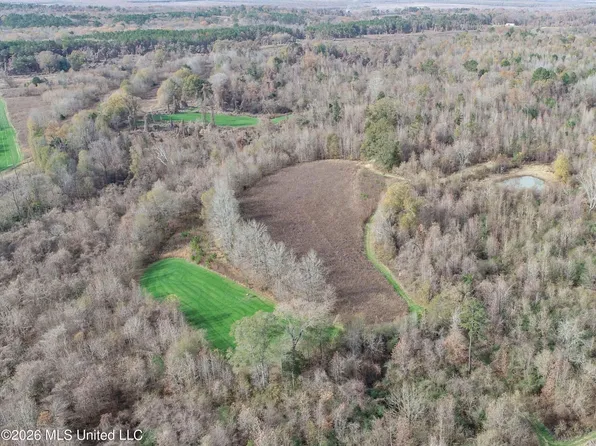 Chinqupin Rd, Lexington, MS 39095