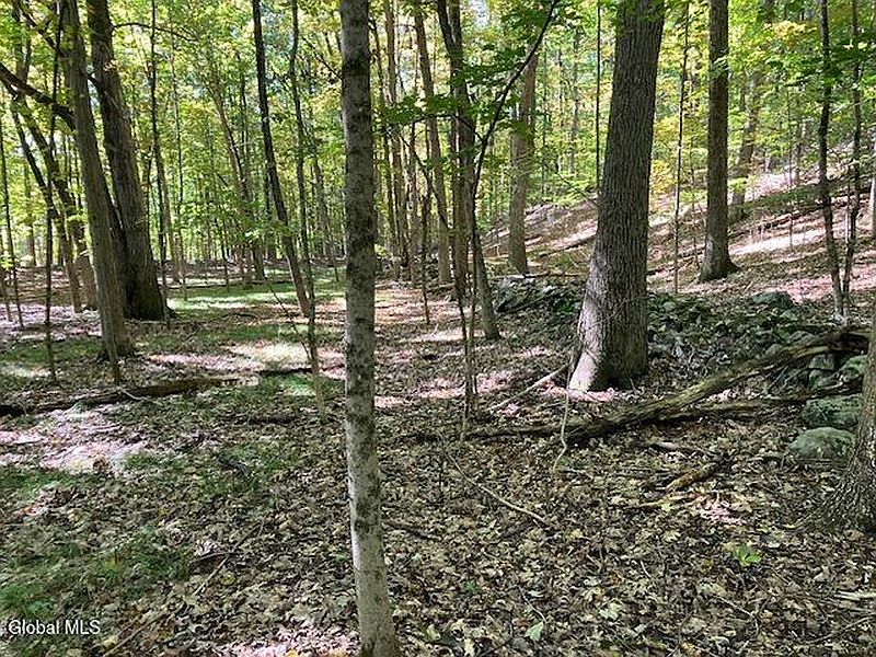 5th image of L6 Burden Lake Road