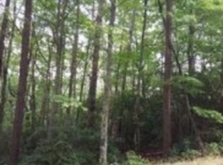 125 Morse Elm Ct, Waleska, GA 30183