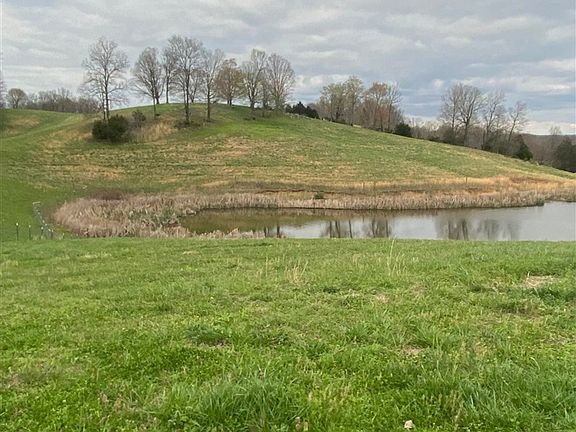 3rd image of 1997 Vernon Rd