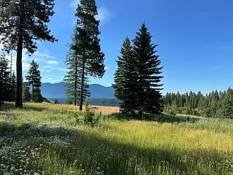 656 Sunrise Rd — Photo 24