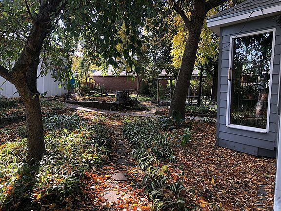 fenced back yard