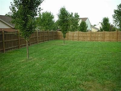 Backyard with privacy fencing.