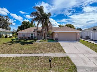 12552 Corrine Ave, Spring Hill, FL 34609