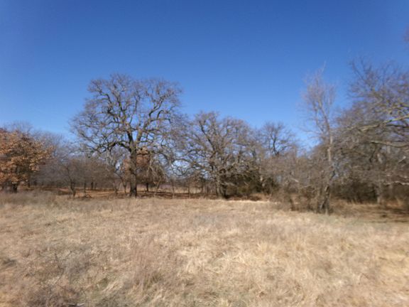 5th image of 181259 N 2590th Rd