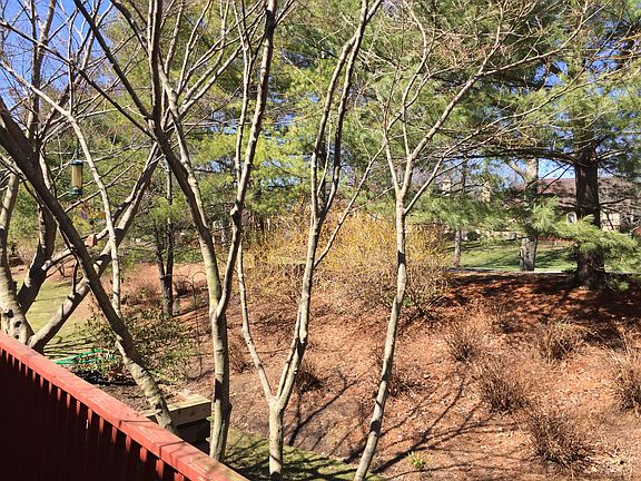 view from porch.  