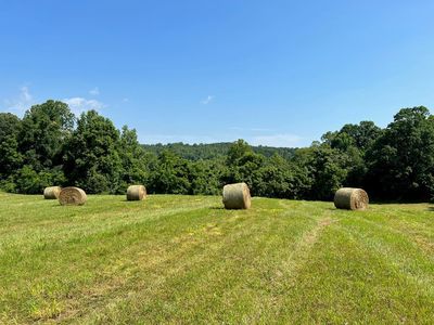 Cherrystone Rd, Chatham, VA, 24531