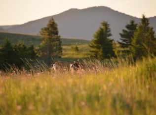 Logging Creek Rd, Monarch, MT 59463