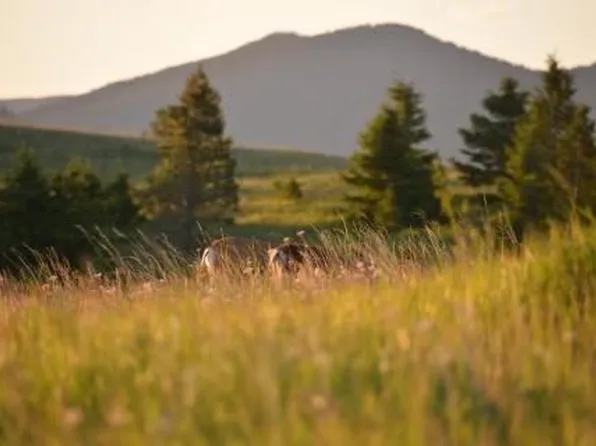 Logging Creek Rd, Monarch, MT 59463