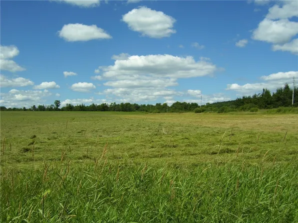 Pitcher Springs Road Pharsalia, Mc Donough, NY 13801