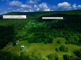 873 Arlie Simmons Rd, Franklin, WV 26807