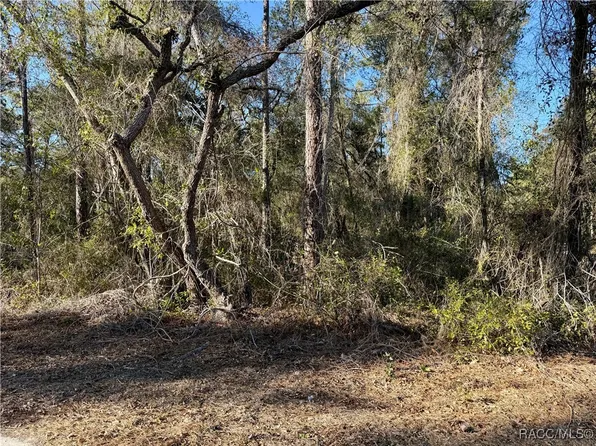 3350 E Kennedy St, Inverness, FL 34453