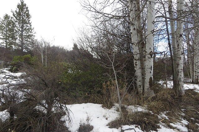 2nd image of B 11 L 4 Forest View Dr