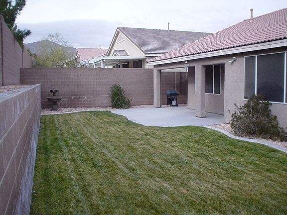 Backyard