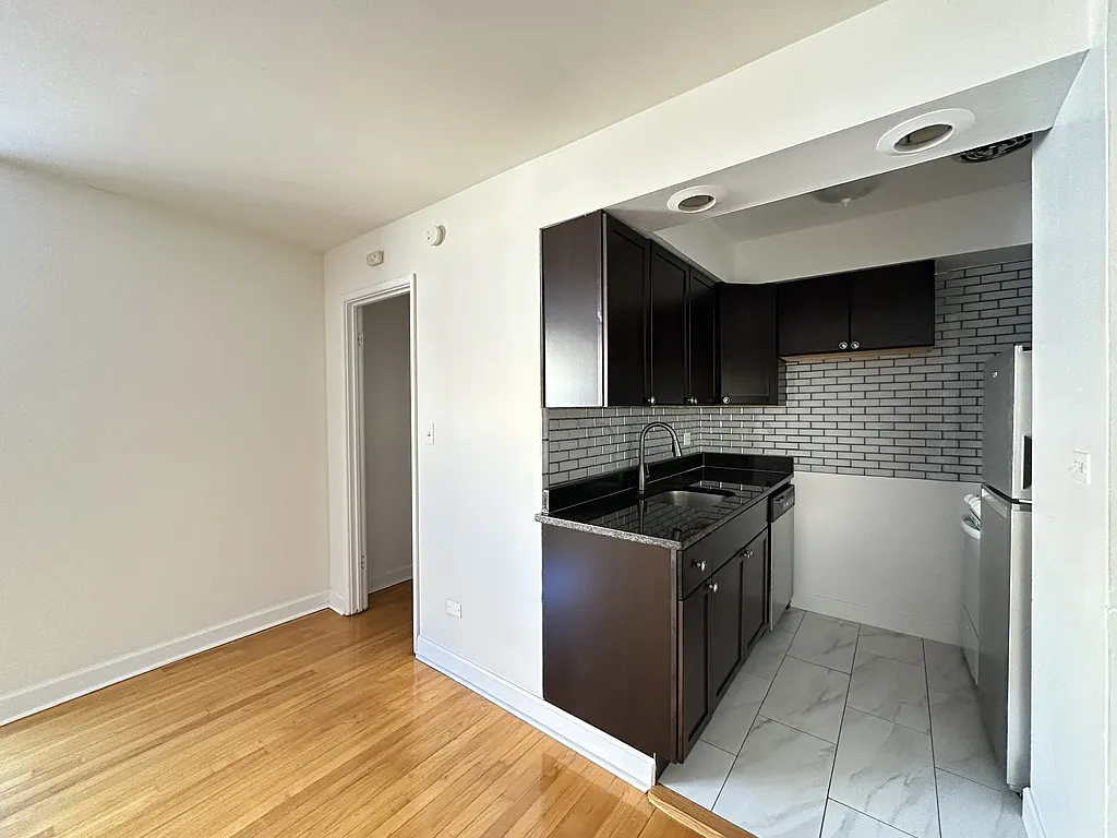 Monumental Studio, 1 Bath at Sheridan + Farwell (Rogers Park) — Photo 3