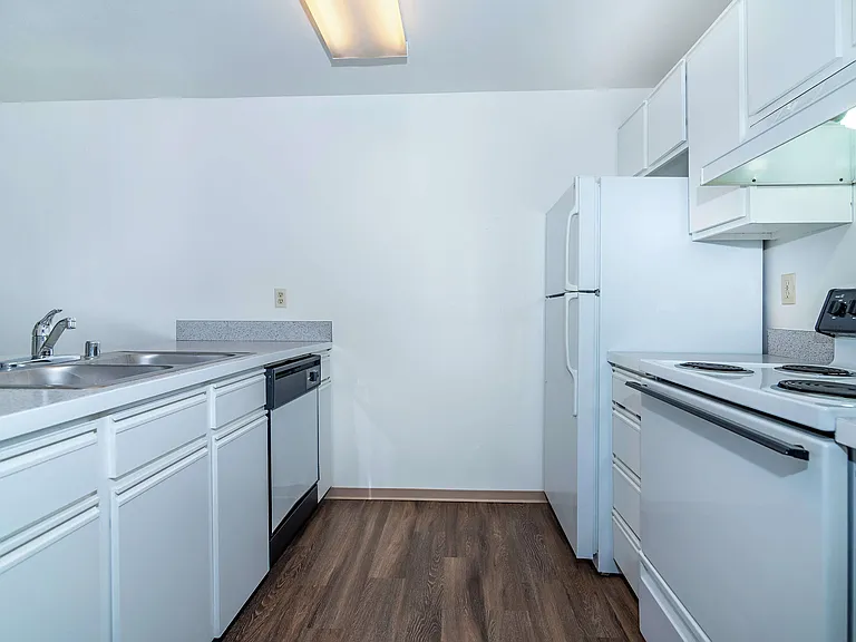 Kitchen Kitchen