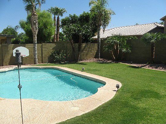 Backyard/Pool