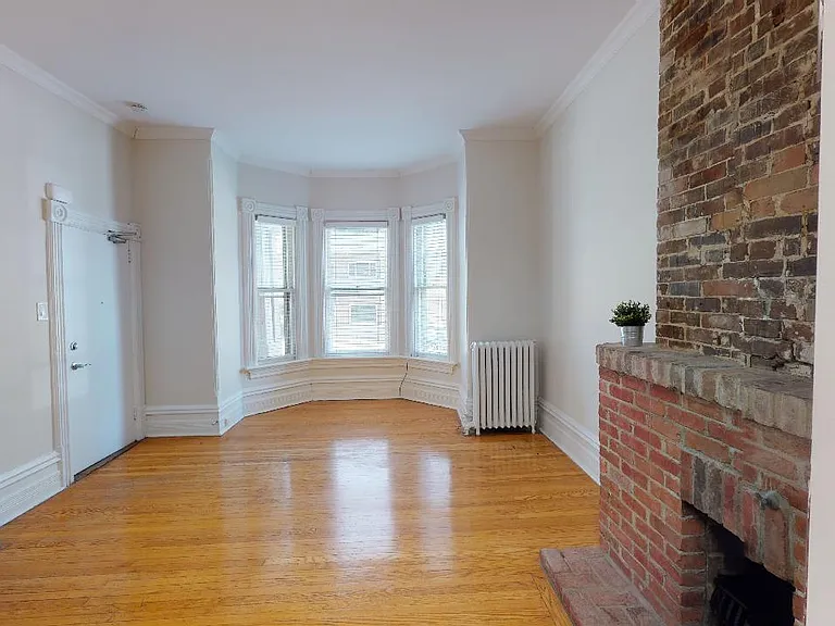 149 Maclaren St — Photo 23