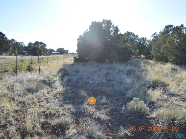 Morrow Dr, Thoreau, NM 87323