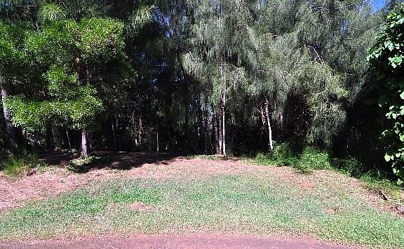 5th image of 4460 Lani Ikena Pl