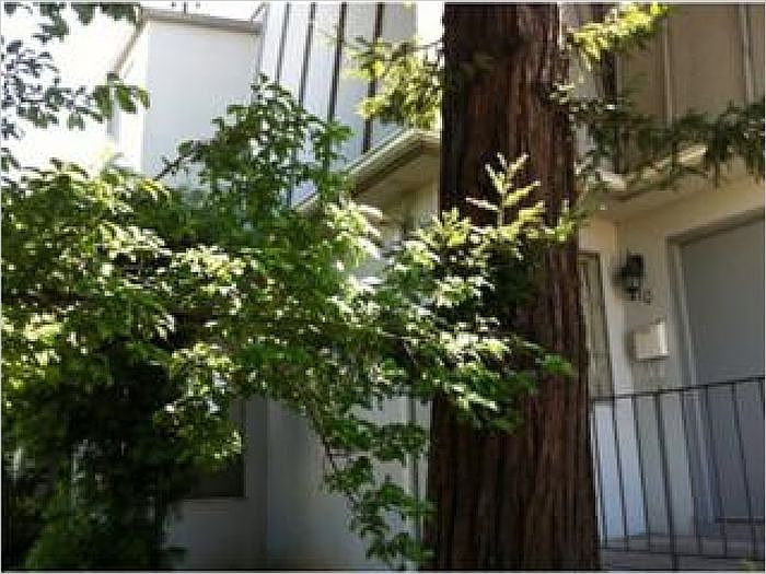 1st image of 210 Alden St