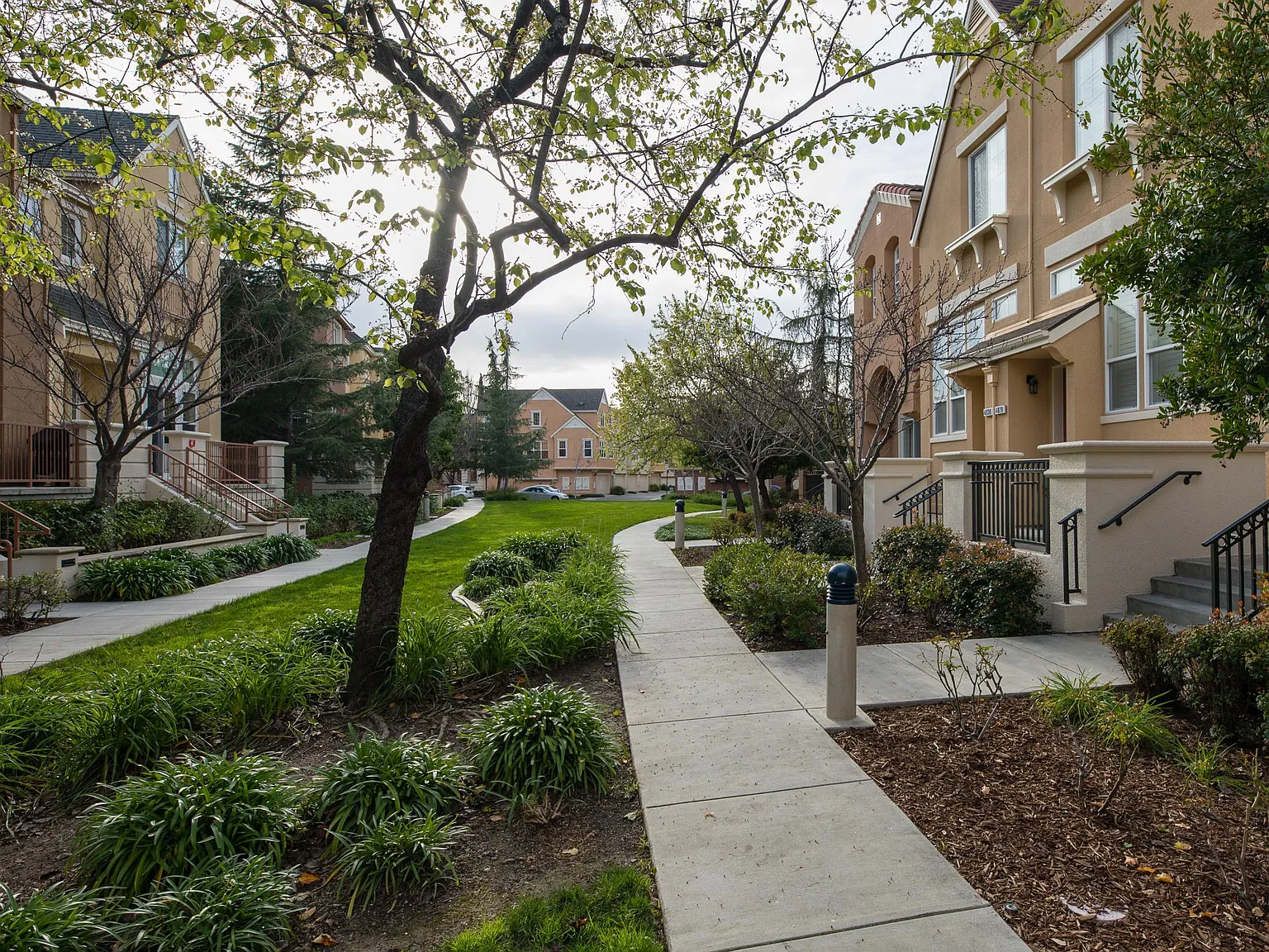 Fitzpatrick Way, Santa Clara — Photo 2