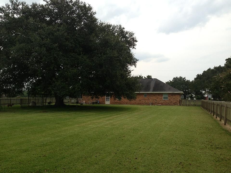 backyard and backview