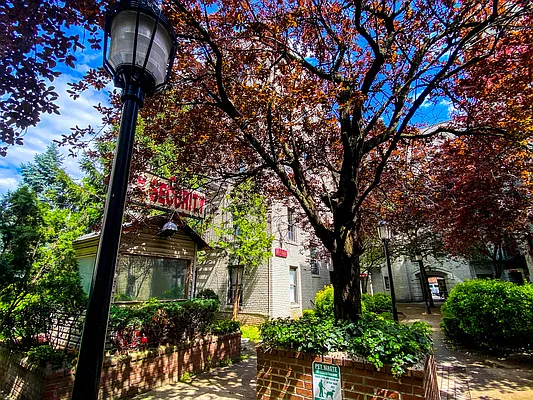 Rented by Voro New York | media 95