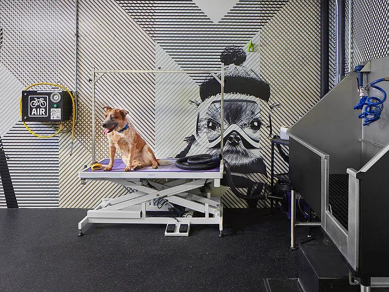 Apartment community Pet Washing Station at Griffis LoDo in Denver, CO.