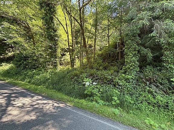 2nd image of Sweet Creek Rd