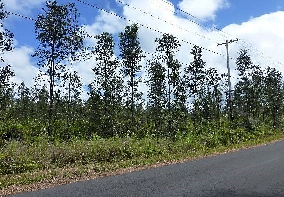 4th image of 16-583 Orchid Land Dr #3