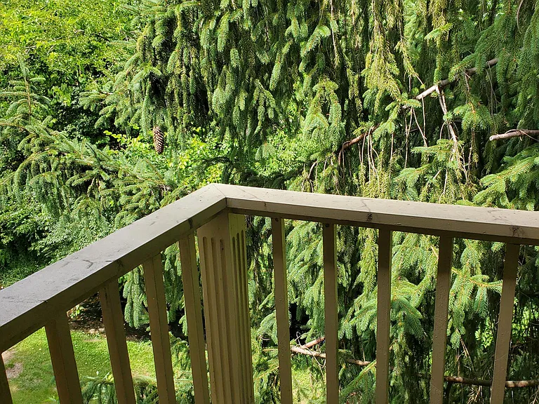 1167 Turkey Foot Rd #20 — Photo 20