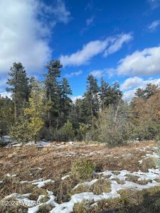 6029 Orion, Lakeside, AZ, 85929