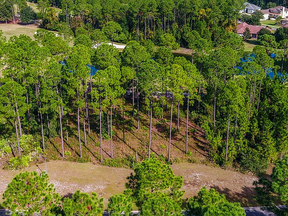 2nd image of 95329 Amelia National Pkwy