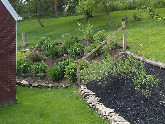 Perennial garden with cherry